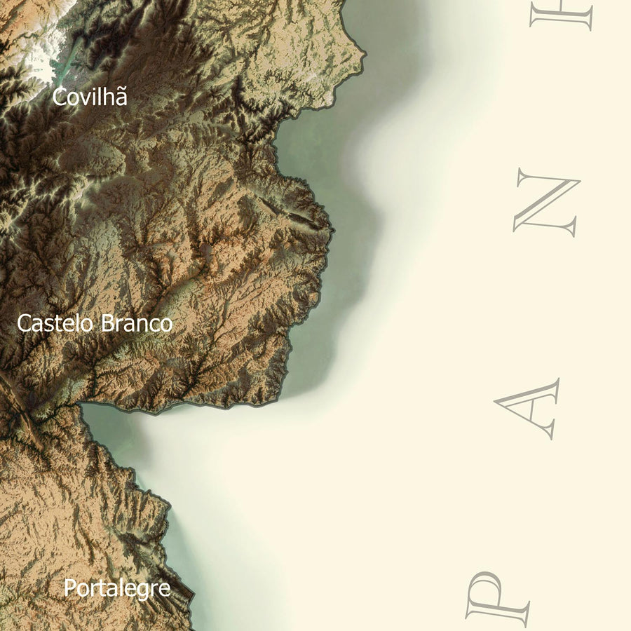 A close-up of a 3D hypsometric map