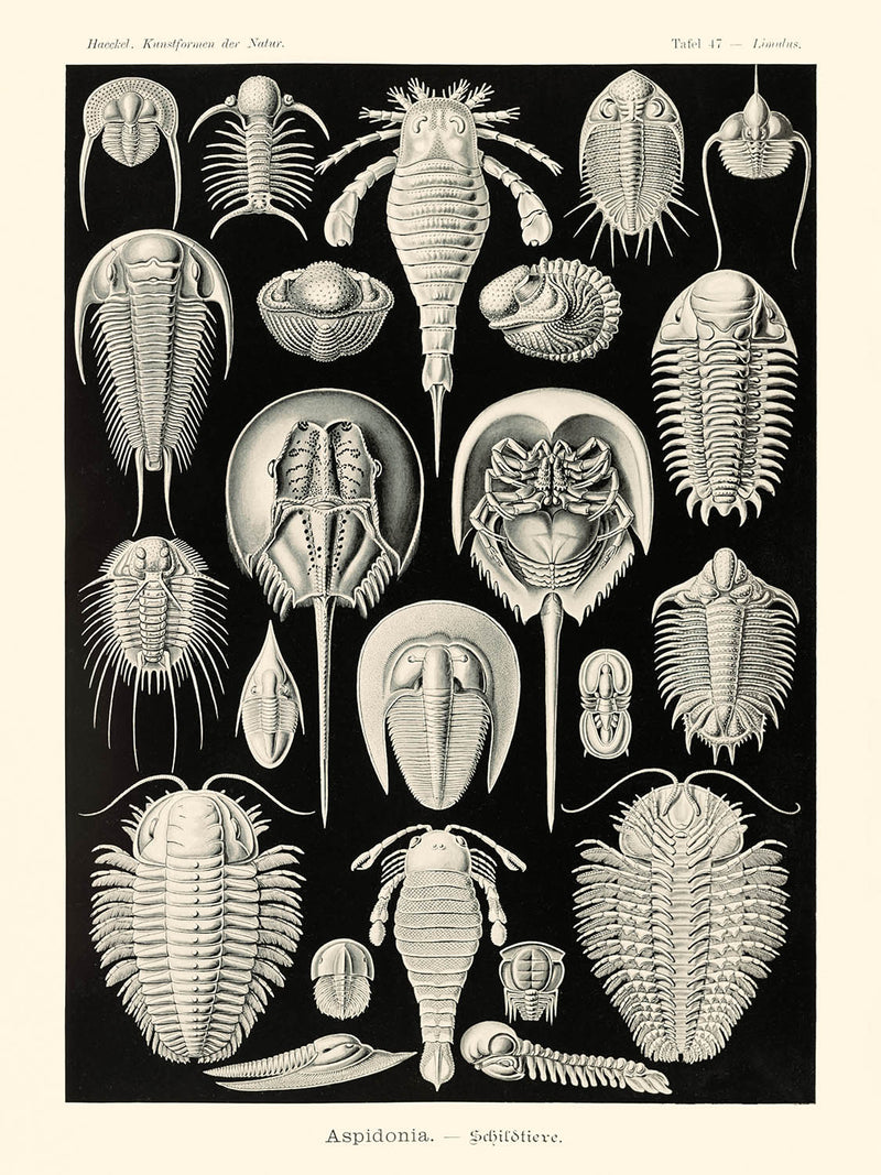 Visualiser thumbnail artwork