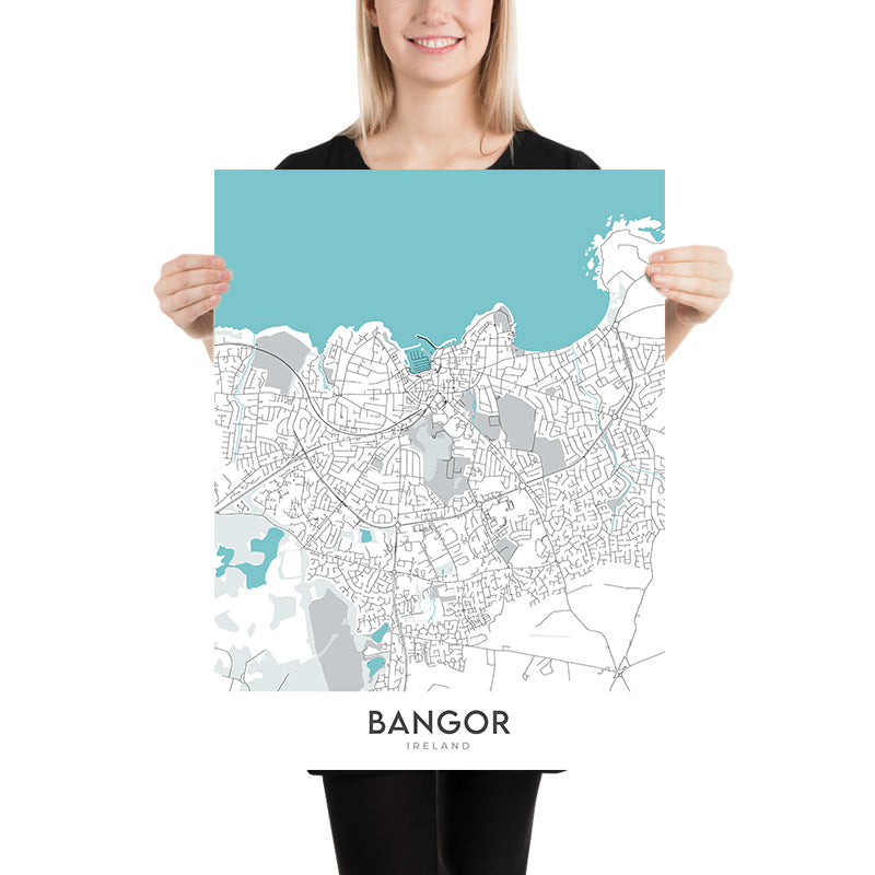 Modern Town  Map of Bangor, NI: Ballyholme, Bangor Castle, Ward Park, A2, Marina