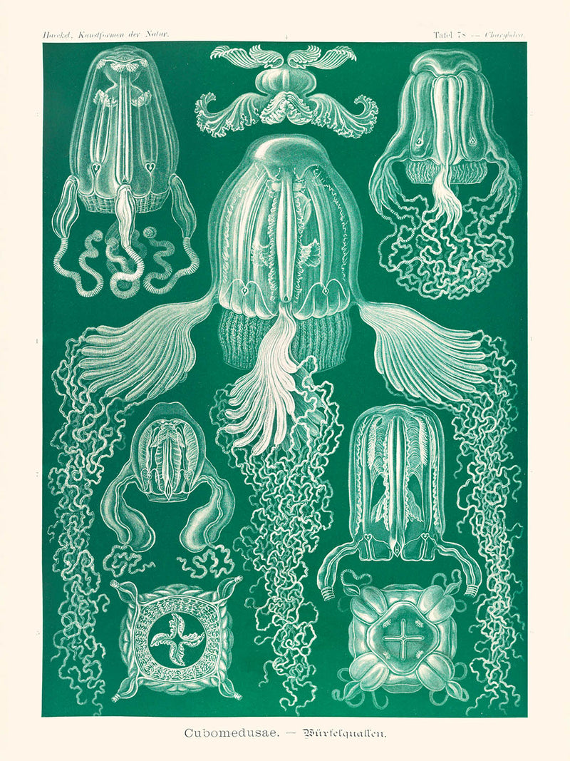 Visualiser thumbnail artwork