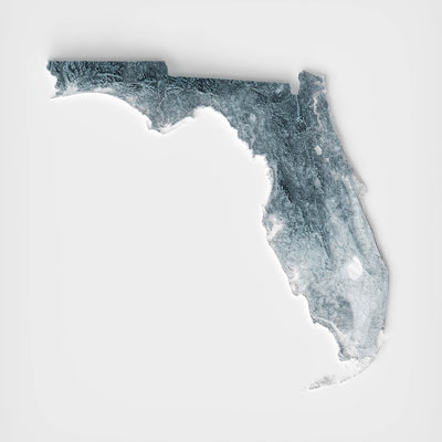 Florida Topographic 3D Relief Map
