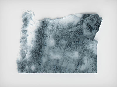 Oregon Topographic 3D Relief Map