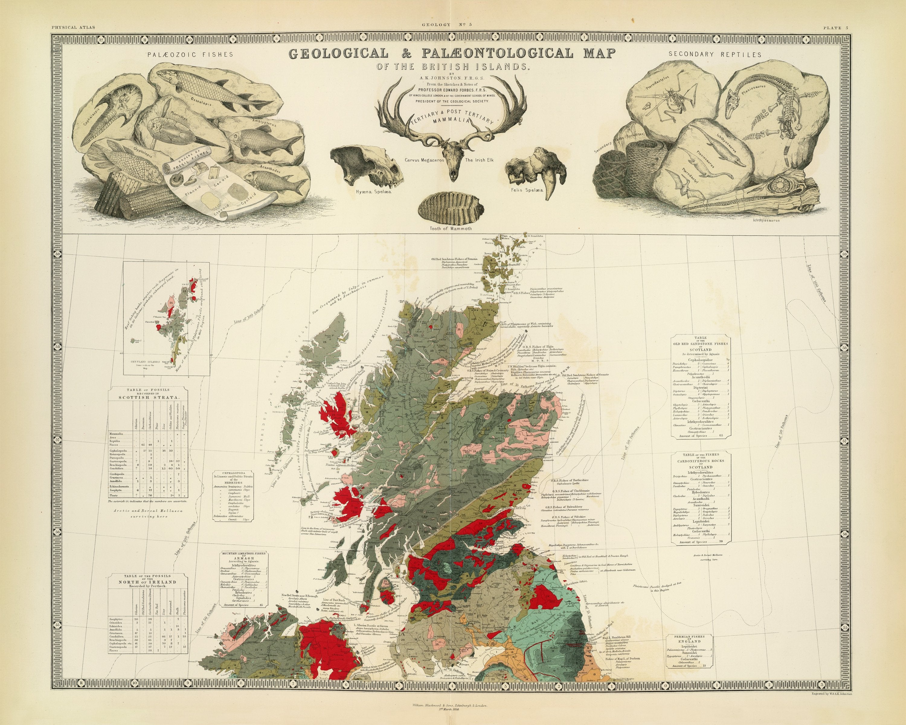 The Unique Maps Co. - Personalised & Vintage Old Map Shop - Est. 1984