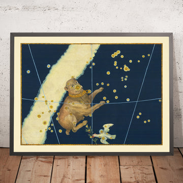 Alter Sternenkarte von Canis Major (Großer Hund) von Johann Bayer, 1603 - Himmlische Sternbildkarte 