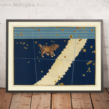 Old Star Map of Canis Minor (Little Dog) by Johann Bayer, 1603 - Celestial Constellation Chart