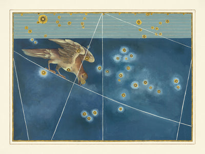 Old Star Map of Corvus by Johann Bayer, 1603 - Celestial Constellation Chart