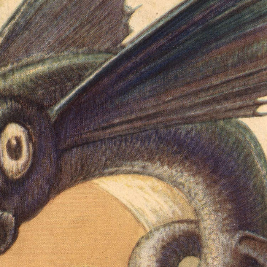 Ancien plan de croisière de la Cunard Caronia Coronation, 1953 : Londres, Paris, Rome, Gibraltar, Athènes 