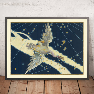 Antigua carta estelar de Cygnus (El Cisne) de Johann Bayer, 1603 - Mapa de constelaciones celestiales 