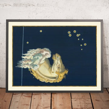 Antica mappa stellare di Equuleus (Cavallino) di Johann Bayer, 1603 - Mappa della costellazione celeste 