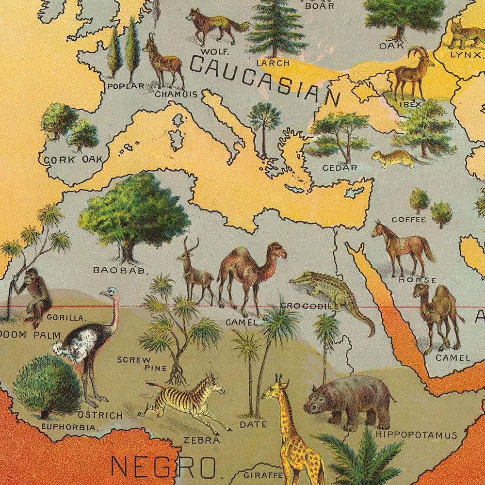 Mapa climático del mundo: distribución de razas humanas, animales y vegetación (1893) de Levi Walter Yaggy