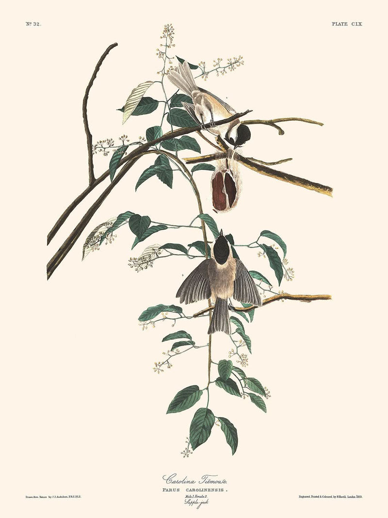 Visualiser thumbnail artwork