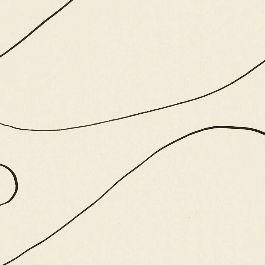 Arabeske von Henri Matisse, 1945 