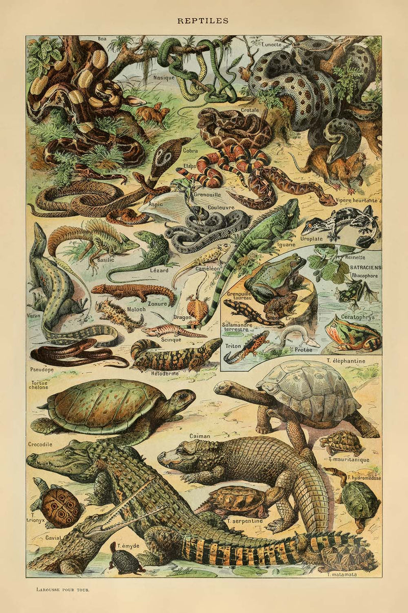 Visualiser thumbnail artwork