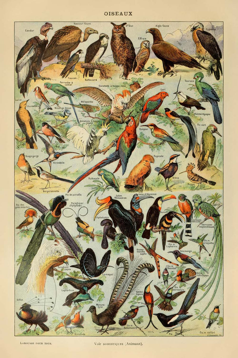 Visualiser thumbnail artwork