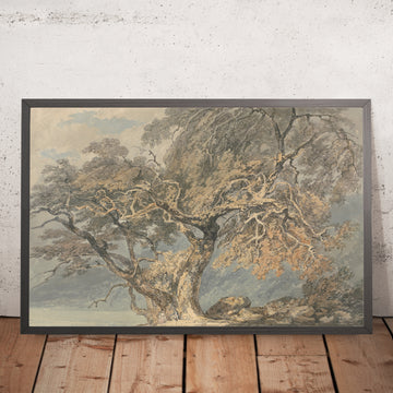 Una imagen enmarcada de A Great Tree de Turner (A Great Tree) 1796