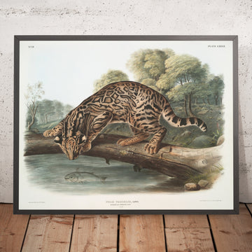 A framed image of 