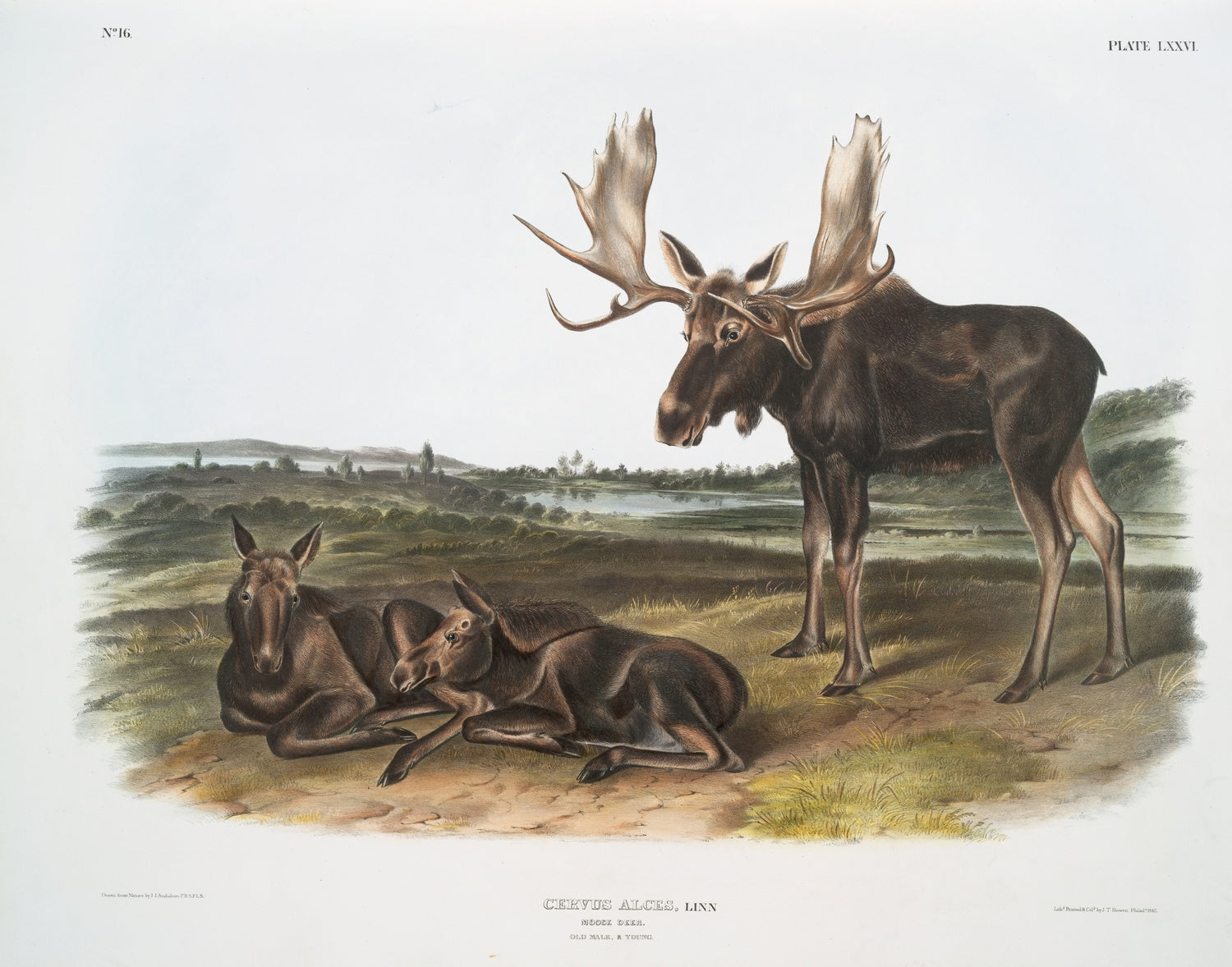 Artwork preview