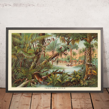 Zona Tropicale di Yaggy, 1893 