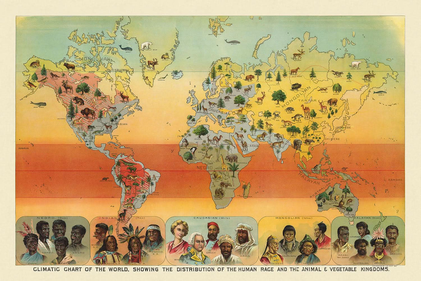 Mapa climático del mundo: distribución de razas humanas, animales y vegetación (1893) de Levi Walter Yaggy