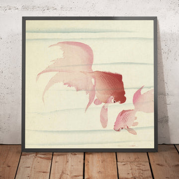 A framed image of 