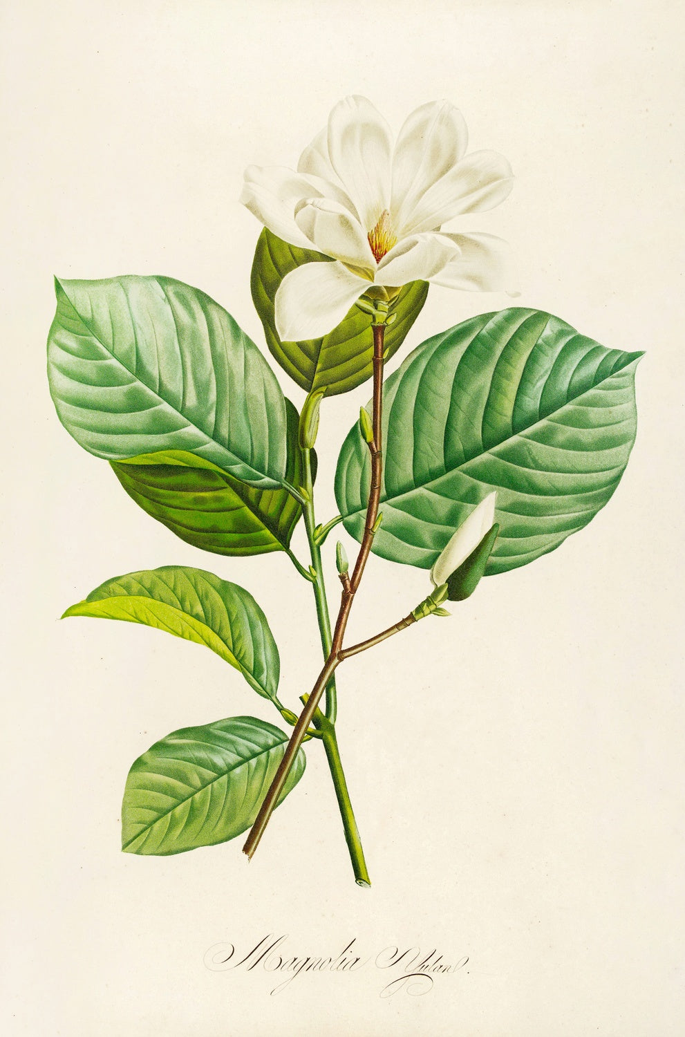 Artwork preview