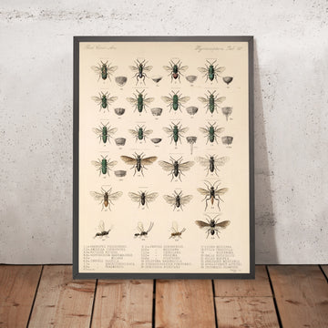 A framed image of 