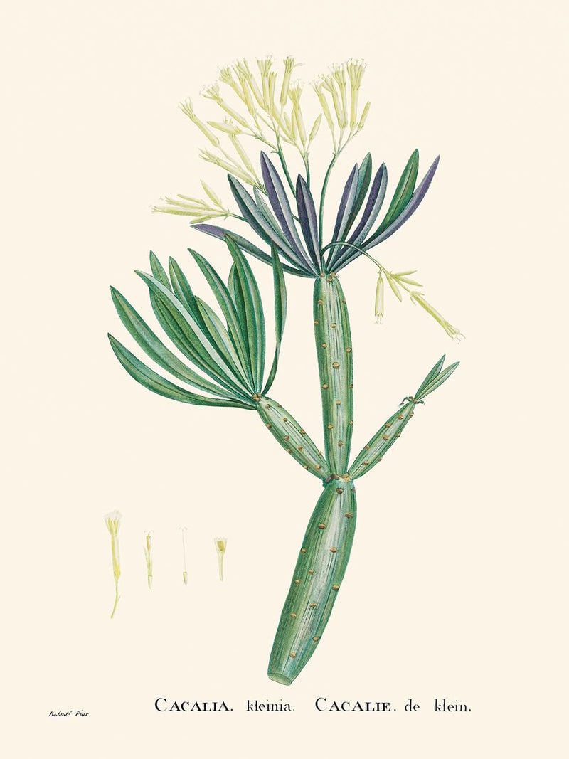 Visualiser thumbnail artwork