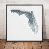 Florida Topographic 3D Relief Map