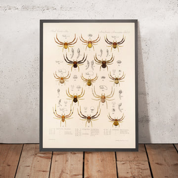 A framed image of 