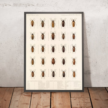 A framed image of 