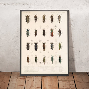 A framed image of 