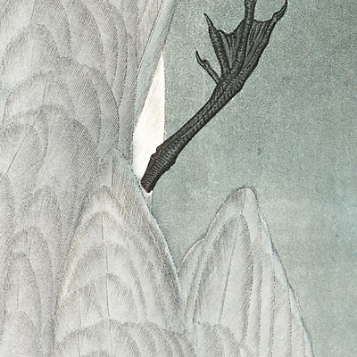 Charrán lagunero, de John James Audubon, 1827