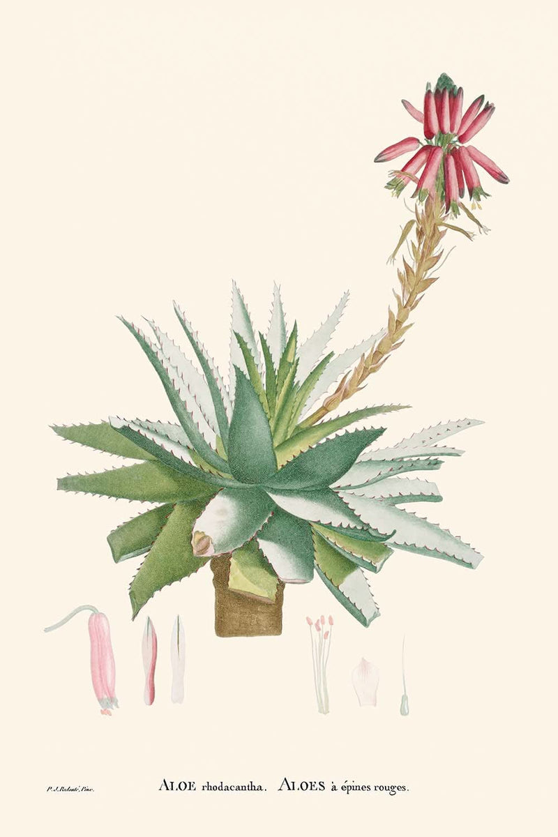 Visualiser thumbnail artwork