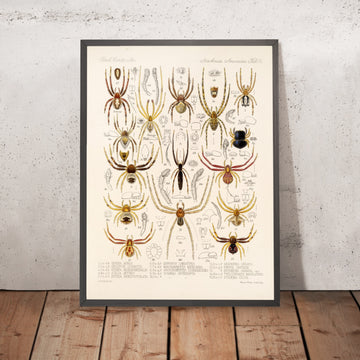 A framed image of 