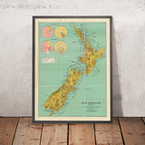 Old Pictorial Map of New Zealand, 1945: Auckland, Wellington, Southern Alps, Cook Strait, export-import charts