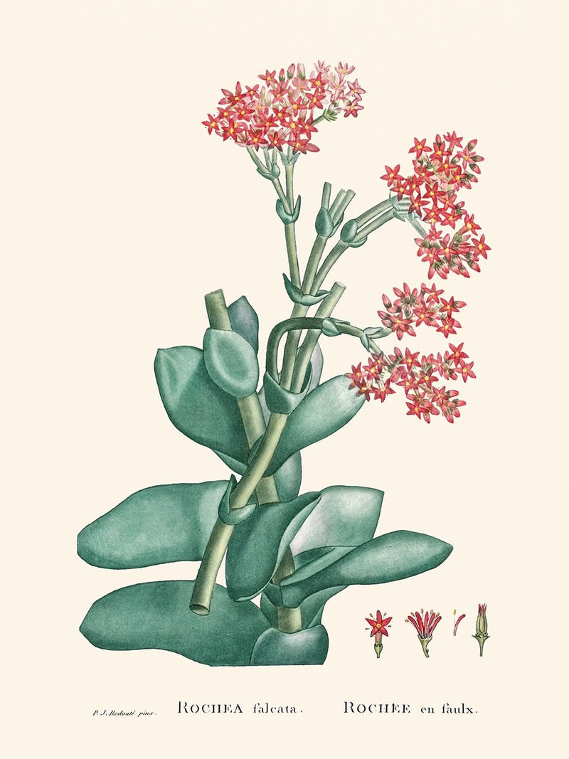 Visualiser thumbnail artwork