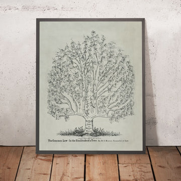 Cartel de la Oficina Legal, 1878: El Derecho Común como un Árbol por RC Bierce, 1878 