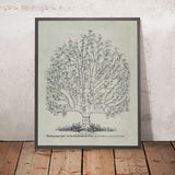 Law Office Poster, 1878: Common Law as a Tree by RC Bierce