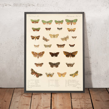 A framed image of 