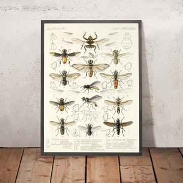 A framed image of 