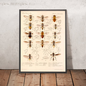 A framed image of 