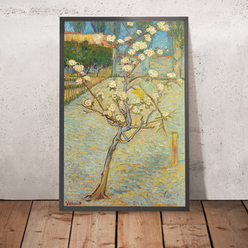 A framed image of 