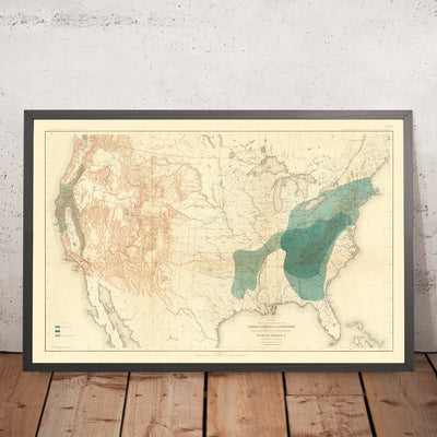 Old Map of Chestnut & Chinquapin Tree Distribution in the USA, 1884