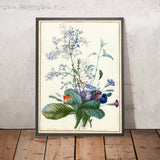 A Bouquet of Flowers with Insects by Pierre Joseph Redouté, 1759