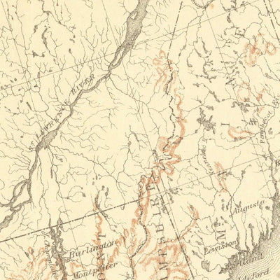 Old Map of Chestnut & Chinquapin Tree Distribution in the USA, 1884
