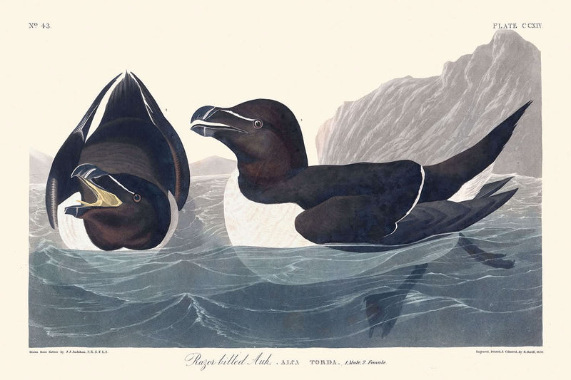 Visualiser thumbnail artwork