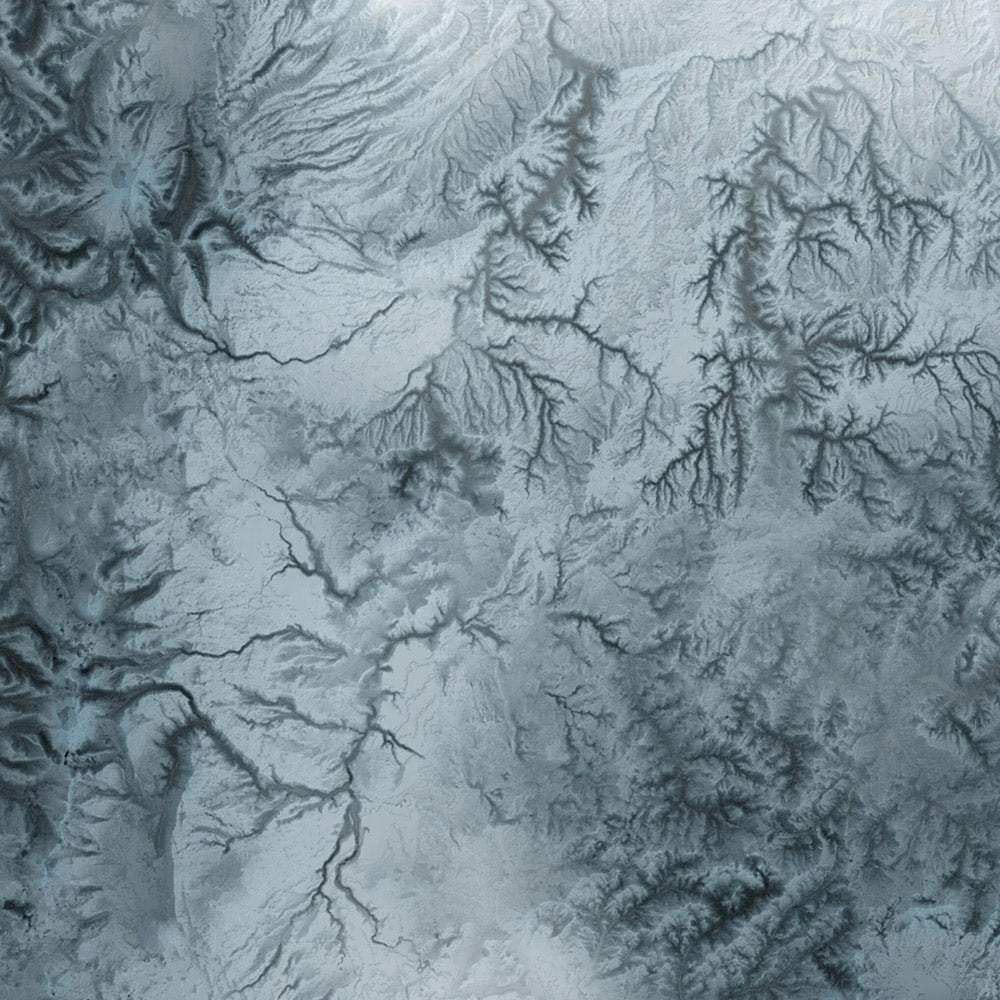 Oregon Topographic 3D Relief Map