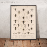 Bees (Hymenoptera, Plate 29) by Frederick DuCane Godman, 1879