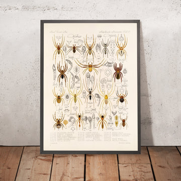 A framed image of 