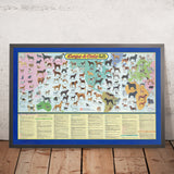 Carte mondiale des vieux chiens et chats par Purina, 1973 : Races mondiales, culture des animaux de compagnie des années 1970 